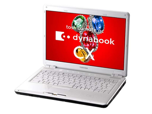 Toshiba 'cyclone in autumn' laptop Picture 1