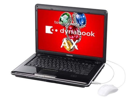 Toshiba 'cyclone in autumn' laptop Picture 3