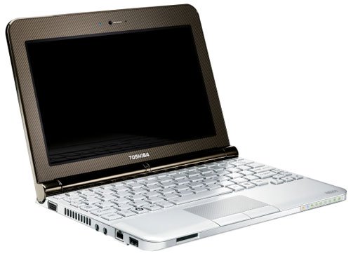 Toshiba NB200 style Picture 2