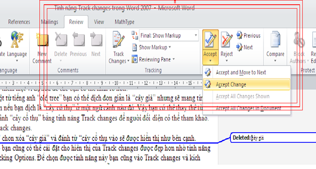 TRACK CHANGES FEATURES IN WORD Picture 5