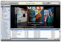 Transfer iTunes library from PC to Mac Picture 1