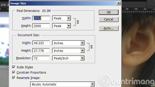 'Transform' a picture into an animated picture or picture using Adobe Photoshop Picture 1