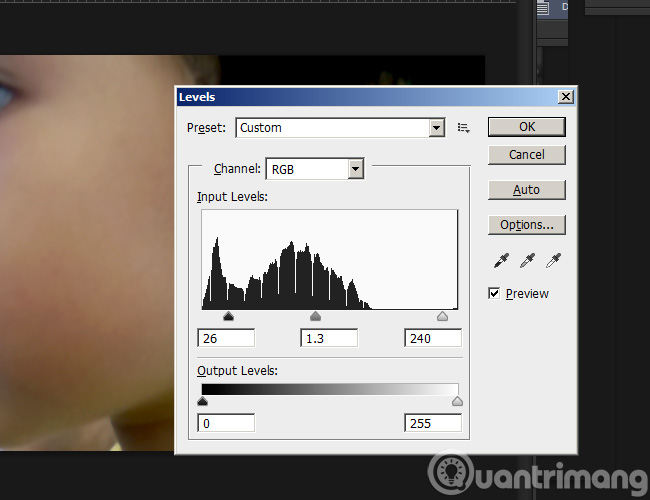 'Transform' a picture into an animated picture or picture using Adobe Photoshop Picture 5
