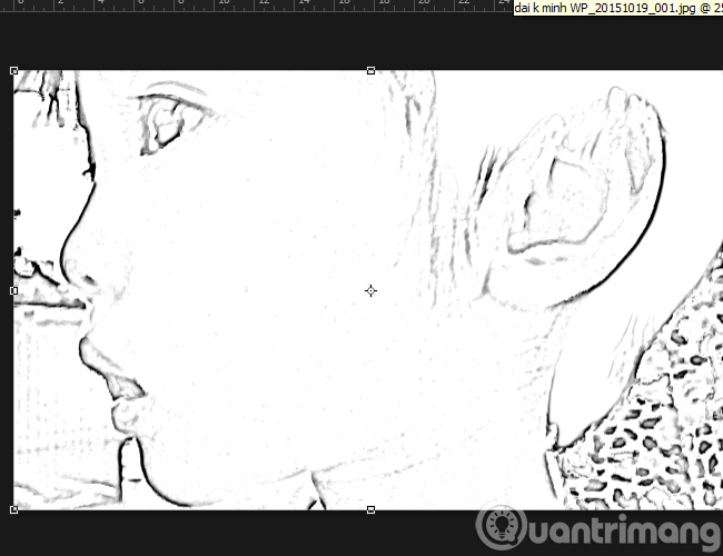 'Transform' a picture into an animated picture or picture using Adobe Photoshop Picture 8