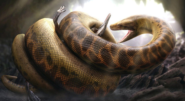 T-rex dinosaur confronts Titanoboa, the largest giant python in Earth's history Picture 2
