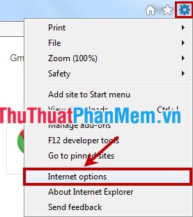Turn off spell checking in Firefox, Chrome, Internet Explorer Picture 8