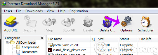 Turn off the automatic downloading of IDM music Picture 1