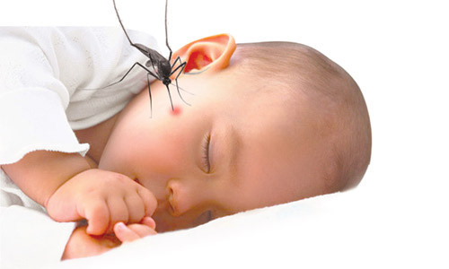 Turn on the air conditioner, do you need a curtain before going to bed? Picture 3