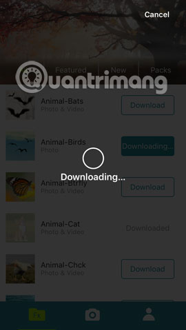 Turn selfie into a GIF image with Lumyer Picture 28