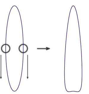 Tutorial drawing ... 'unicorn' in Adobe Illustrator Picture 12