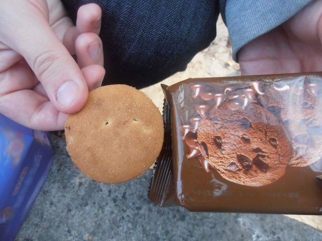 Twenty-three superhuman images show this world is against you Picture 18