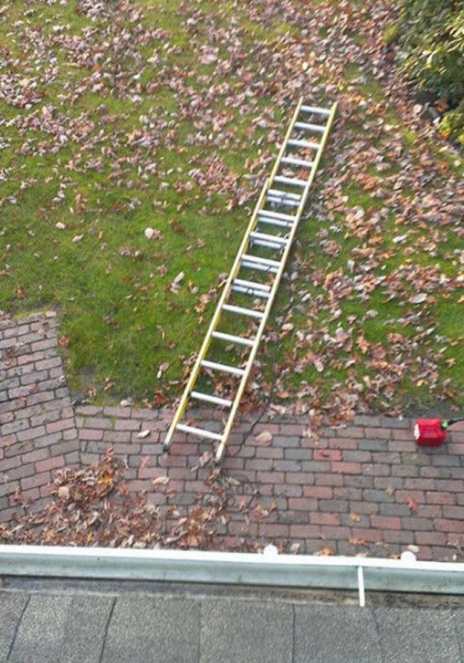 Twenty-three superhuman images show this world is against you Picture 8