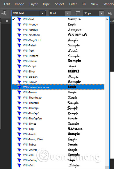 Typing Vietnamese in Photoshop Picture 11