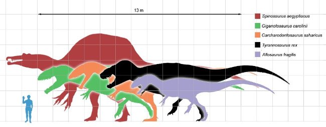 Tyrannosaurus T-rex and Giganotosaurus, which one will win? Picture 5