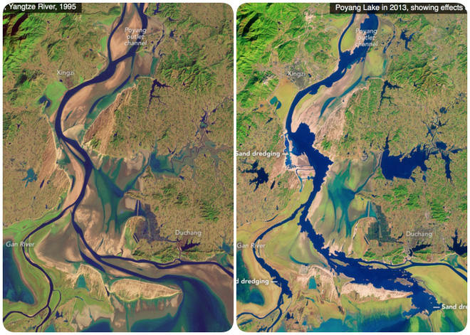 Unbelievable but true, CAT in the world began to run out Picture 3