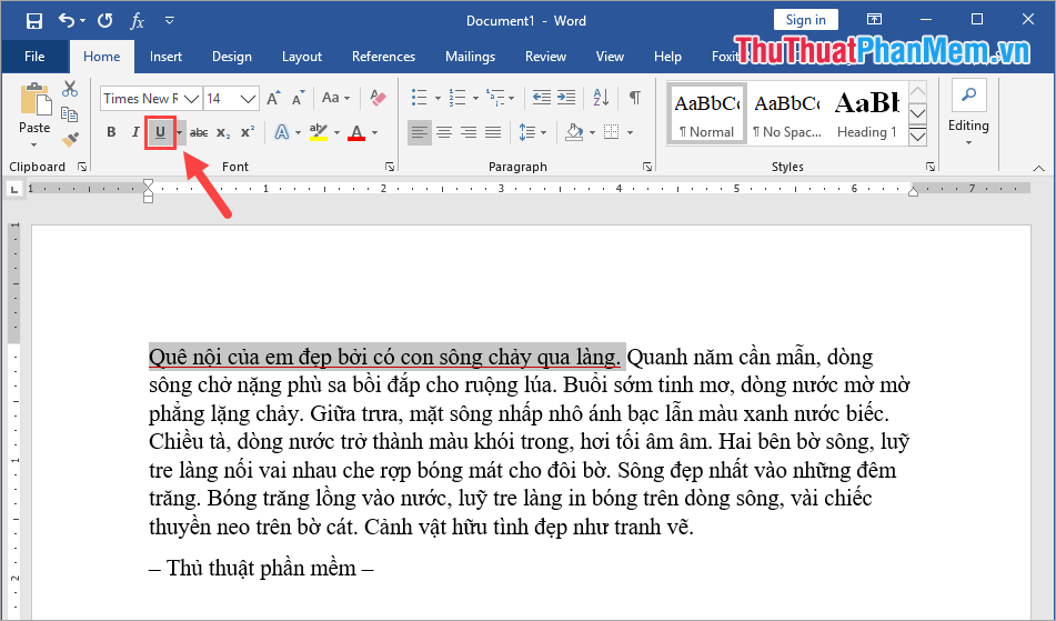 Underline in Word Picture 11