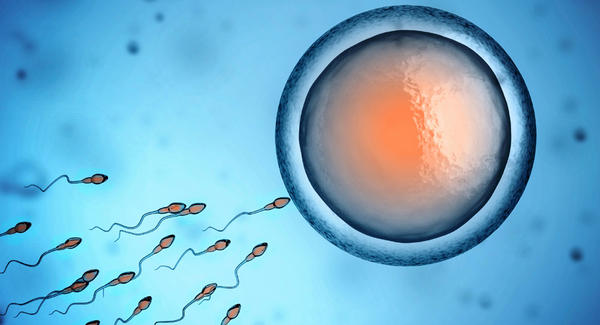 Unexpected truth, women can become pregnant even though they don't have formal sex Picture 2