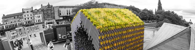 Unique house inspired by grass pipes Picture 4