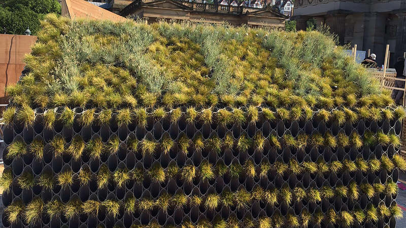 Unique house inspired by grass pipes Picture 6