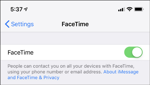 Update Group FaceTime feature fixes on your iPhone, iPad and Mac Picture 3