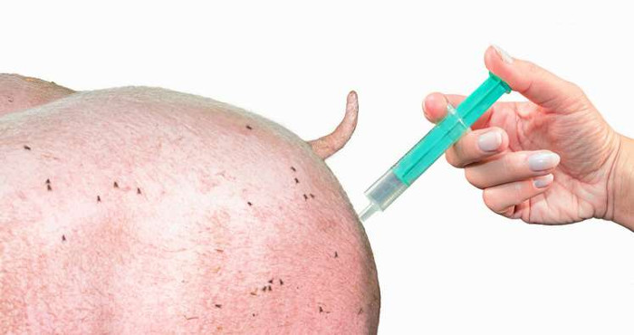 USA: Doctors call to stop giving sausages to students' meals Picture 2