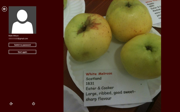 Use images instead of passwords - Should I use them? Picture 5