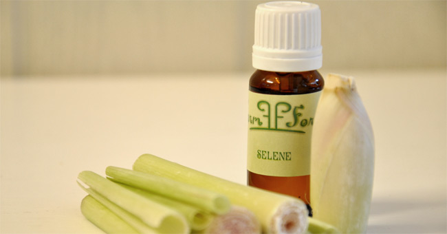 Use mosquito repellent materials available, safe for families Picture 7