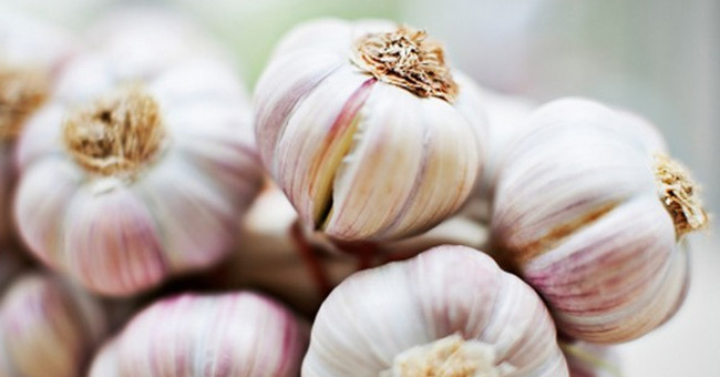 Use mosquito repellent materials available, safe for families Picture 9