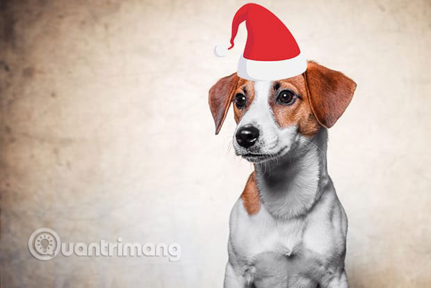 Use Photoshop to create more caps on top of an object Picture 4