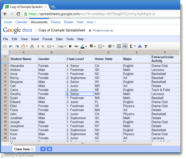 Use Pivot Table in the Google Docs Spreadsheet Picture 1