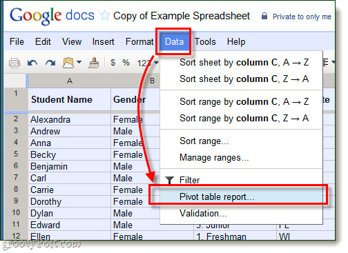 Use Pivot Table in the Google Docs Spreadsheet Picture 2