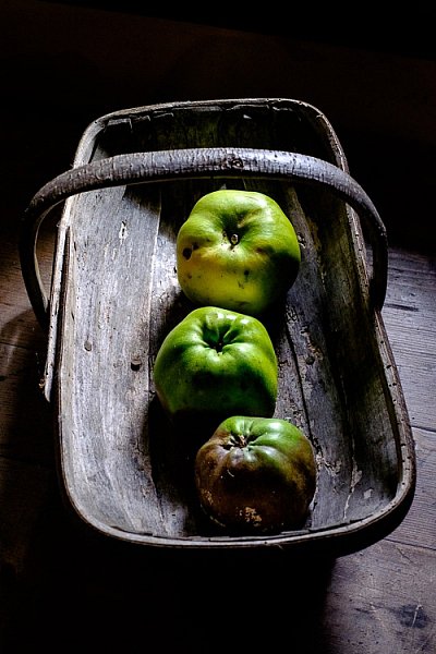 Use shading and contrast in photography Picture 3