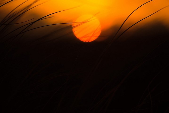 Use shading and contrast in photography Picture 9