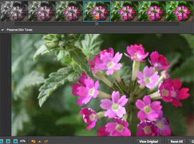 Use the online Photoshop photo editor Picture 3