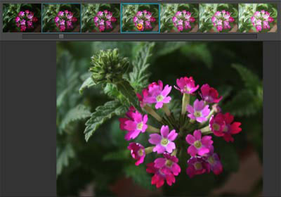 Use the online Photoshop photo editor Picture 4