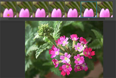 Use the online Photoshop photo editor Picture 8