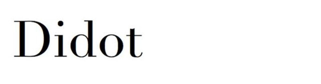 Use Times New Roman font in CV like 'wearing sports pants' to apply for a job Picture 5