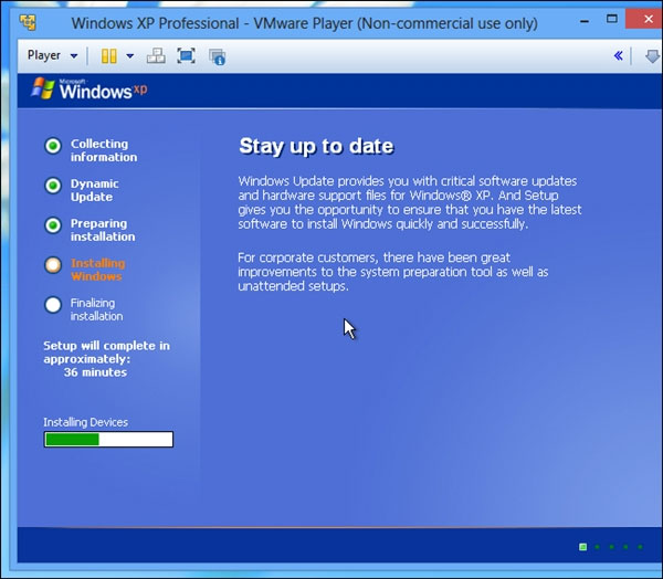 how to access internet on windows xp through vmware on mac