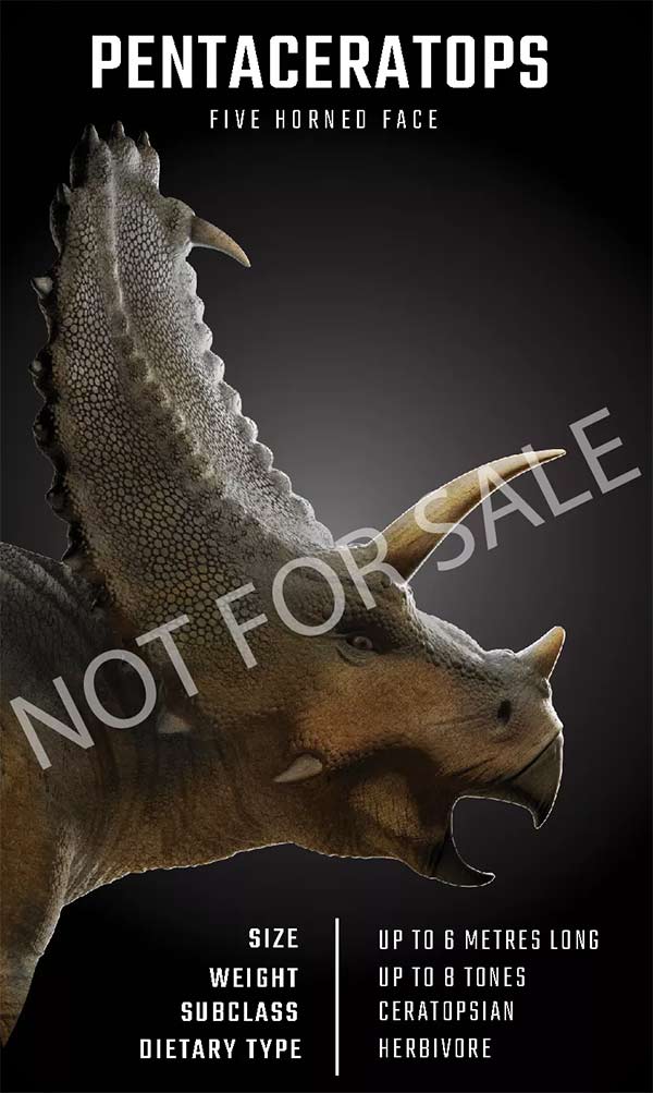 Using Dinosaur 4D + and 4D dinosaur collection Picture 14