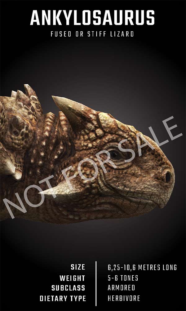 Using Dinosaur 4D + and 4D dinosaur collection Picture 15