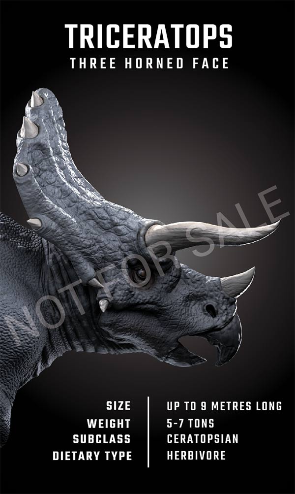 Using Dinosaur 4D + and 4D dinosaur collection Picture 16