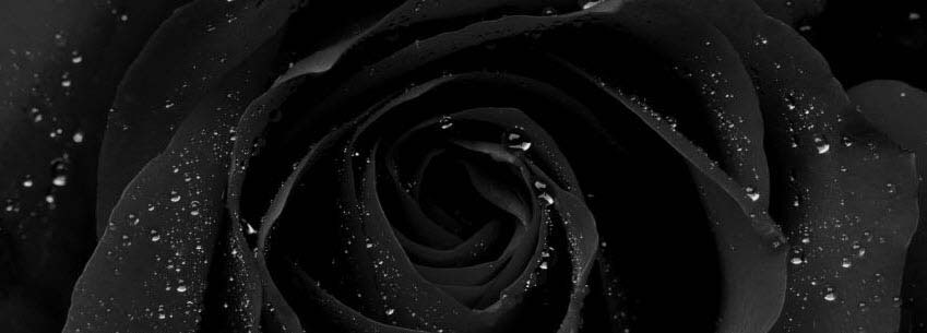 Very nice, beautiful Facebook cover photo Picture 22