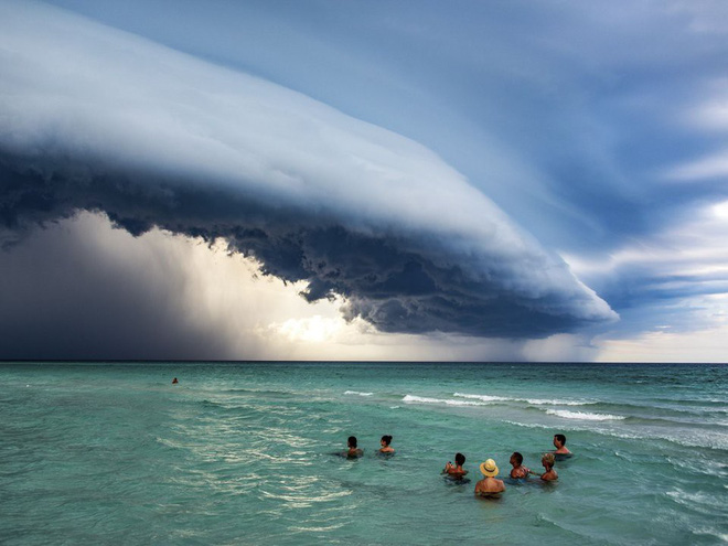 Vietnamese photographer won the first prize at one of the largest nature photography contests in the world Picture 10