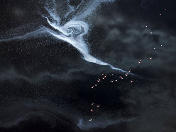 Vietnamese photographer won the first prize at one of the largest nature photography contests in the world Picture 18