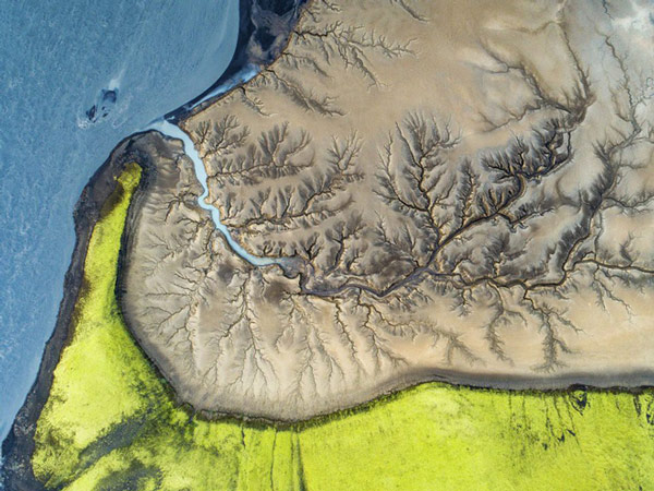 Vietnamese photographer won the first prize at one of the largest nature photography contests in the world Picture 27