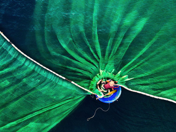 Vietnamese photographer won the first prize at one of the largest nature photography contests in the world Picture 7