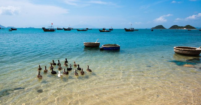 Visit Diep Son island to discover the most unique undersea road in Vietnam Picture 4