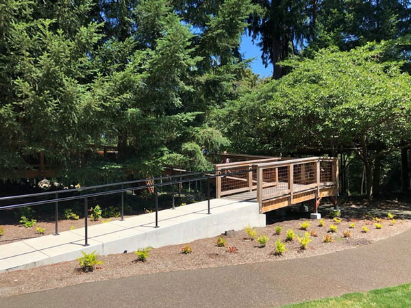 Visit the tree office that Microsoft makes employees, chatting, working or sunbathing Picture 12