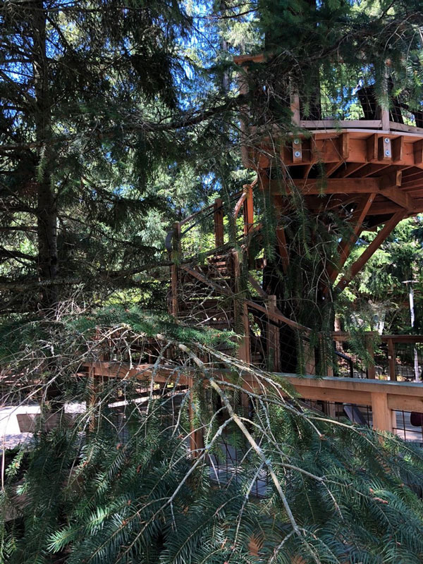 Visit the tree office that Microsoft makes employees, chatting, working or sunbathing Picture 13