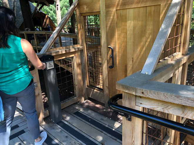 Visit the tree office that Microsoft makes employees, chatting, working or sunbathing Picture 4